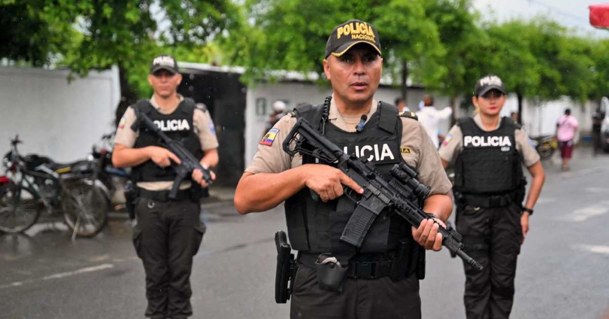 Descidente de FARC INTOCRATE en cuidado para Echeador