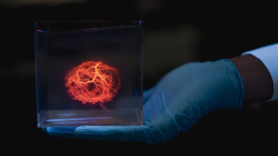 Corazones impresos en 3D, más cerca de la realidad