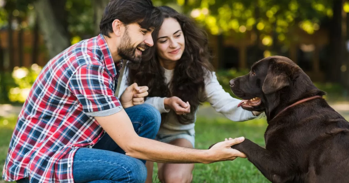 Dueños de perros, cuidadoso sobre la nueva ley en Colombia y multas
