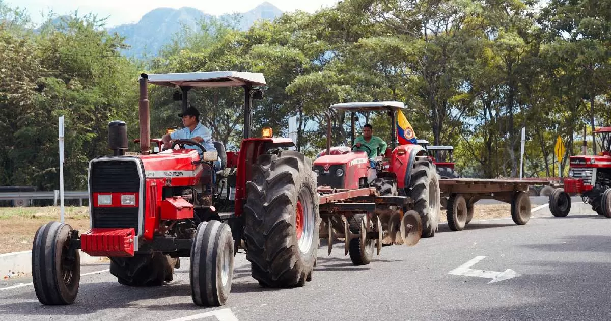 El gobierno anuncia el control del arresto de arroz