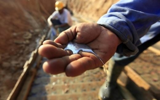 Perú confirma que se apoderó de una carga viva ilegal de México a Bolivia